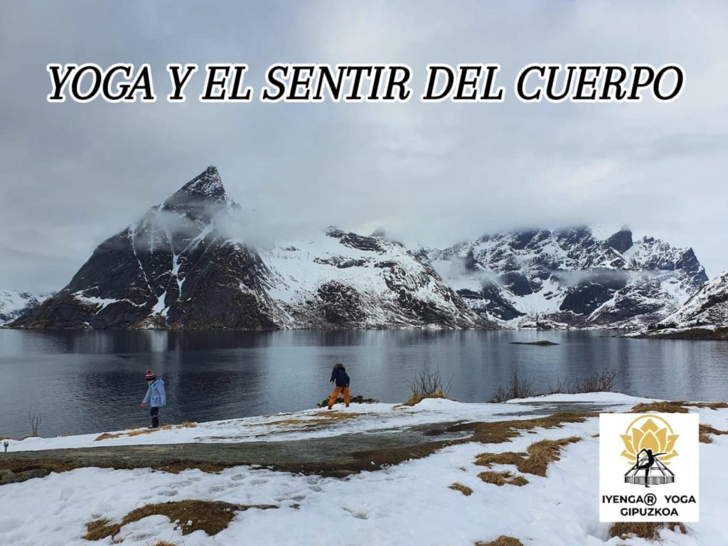 Yoga Iyengar en Donostia San Sebastián
