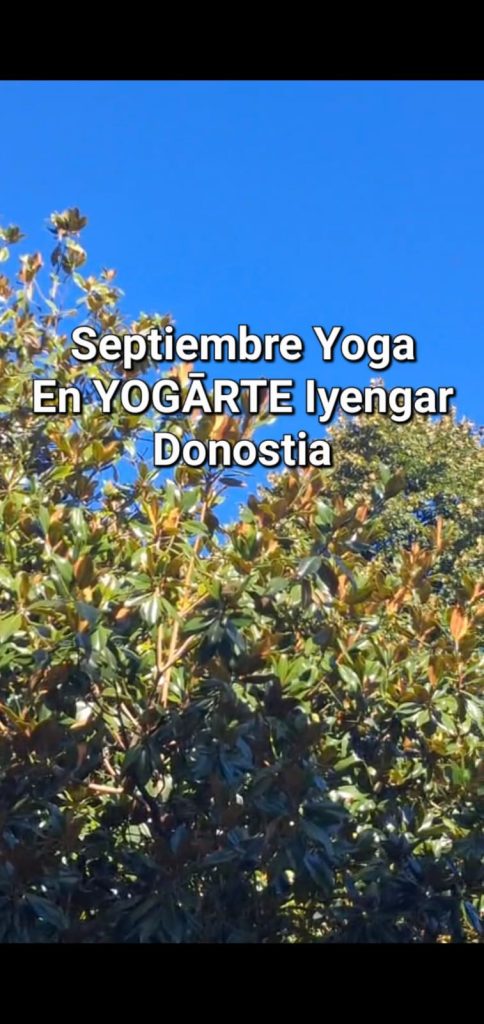 Nueva Sala de Yoga Iyengar Donostia. Vistas y aire fresco del Urumea. Barrios Egia, Centro, Gros, Amara en San Sebastián.